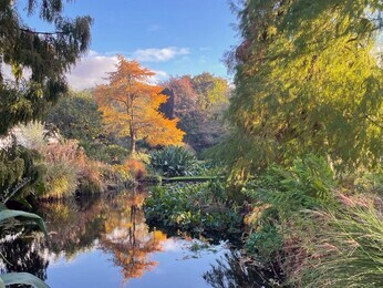 Brilliant autumn colour