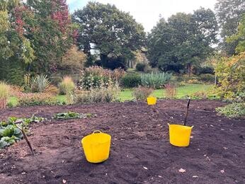 Renovation Work in the Water Garden