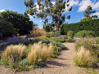 Spring-cleaning grasses