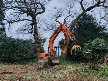 Renovation Work in the Water Garden