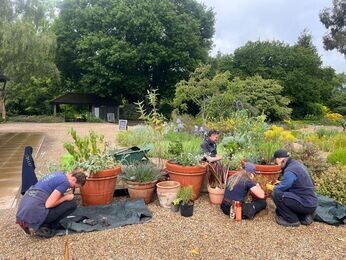 This week with the garden team- late May