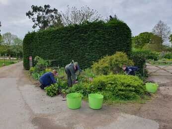 New area of drought-tolerant planting 