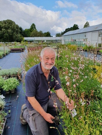 Garden Masterclass- Gardening the Beth Chatto way