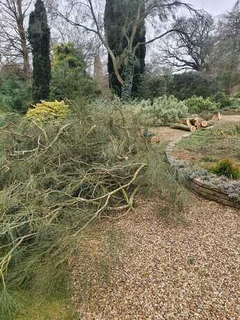 Storm Eunice and Garden Visits