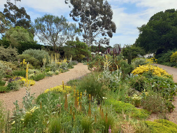 The Chelsea Flower Show and Beth's Legacy