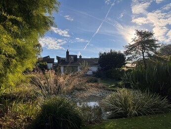 Ornamental Grasses for Autumnal Interest