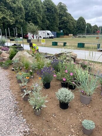 Carol Klein's Iconic Horticultural Hero garden at Hampton Court