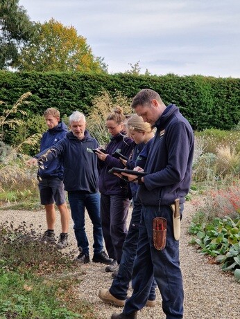 This week in the garden- mid October