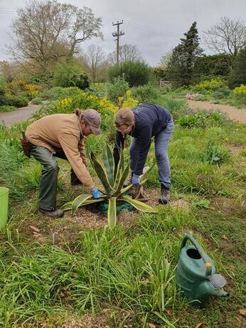 A look back at 2024 with the garden team 