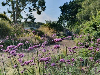 This week with the garden team- late May