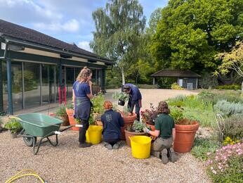 Summer pot displays