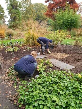 A look back at 2024 with the garden team 