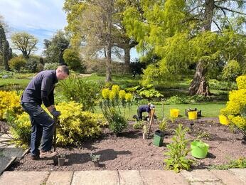 Rejuvenating a Tired Garden Border