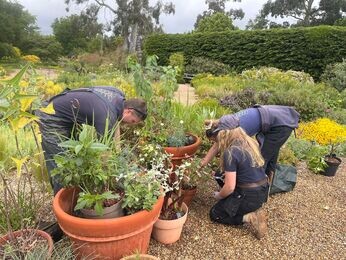 This week with the garden team- late May