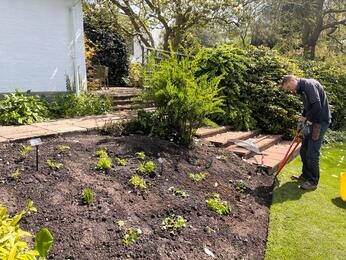 Rejuvenating a Tired Garden Border