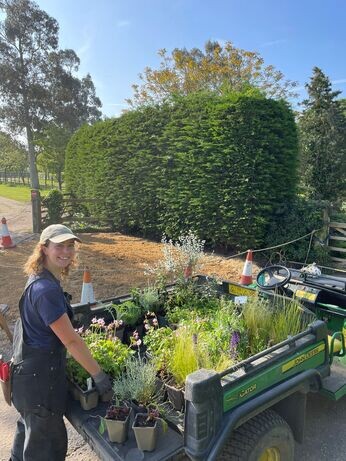 New area of drought-tolerant planting 