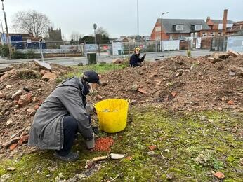 Colchester Meanwhile Garden