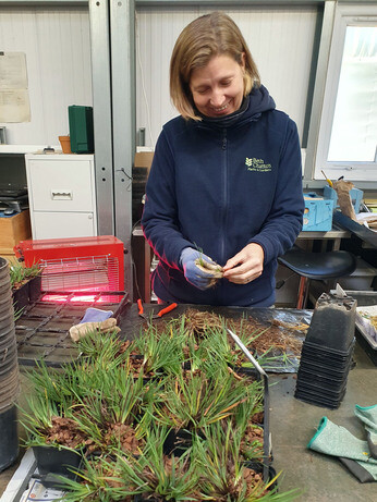 Preparing for winter with the propagation team