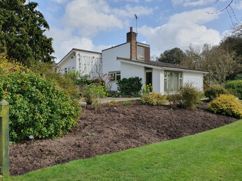 Rejuvenating a Tired Garden Border