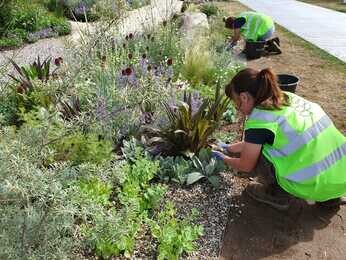 Carol Klein's Iconic Horticultural Hero garden at Hampton Court