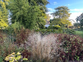 Ornamental Grasses for Autumnal Interest