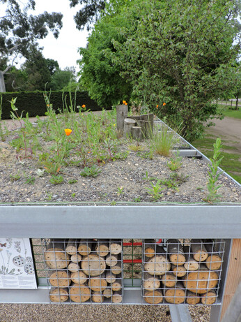 Our Green Roof Bike Shelter 