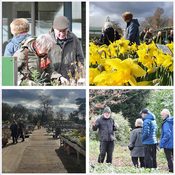 Friends of Beth Chatto members day and our Tearoom renovation