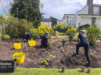 Rejuvenating a Tired Garden Border