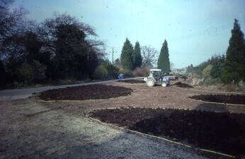 A new area of drought tolerant planting at the garden entrance