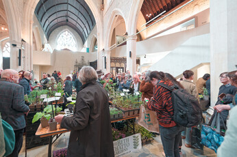 Spring Plant Fairs