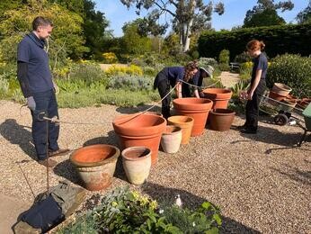 Summer pot displays