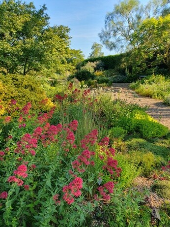 Early June with the garden team