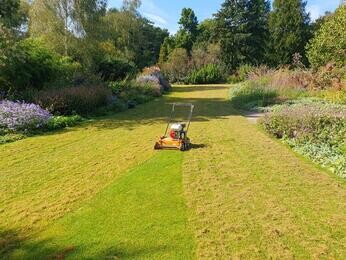 Autumn jobs in the garden