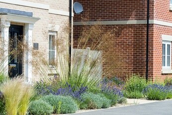 Planting on the Albert roundabout