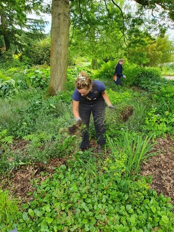 Early June with the garden team