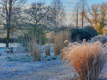 Spring-cleaning grasses