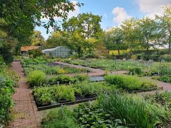 Early autumn with the garden team