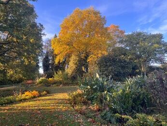 Brilliant autumn colour