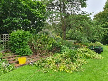 Late summer garden jobs