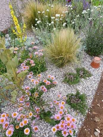 Carol Klein's Iconic Horticultural Hero garden at Hampton Court