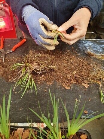 Preparing for winter with the propagation team