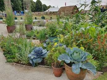 Carol Klein's Iconic Horticultural Hero garden at Hampton Court