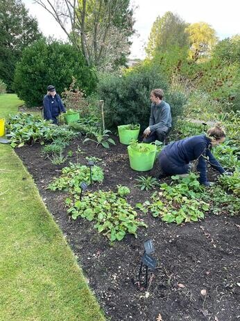 This week in the garden- mid October