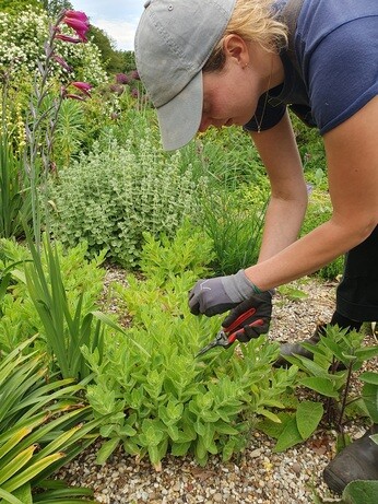 Early June with the garden team