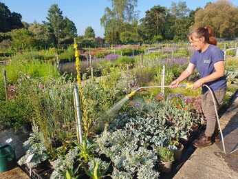 Carol Klein's Iconic Horticultural Hero garden at Hampton Court