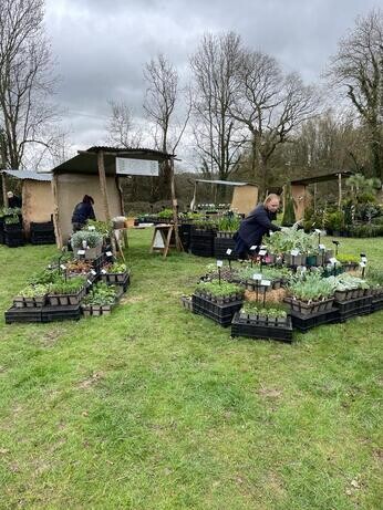 Spring Plant Fairs