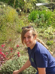 Ornamental Grasses for Autumnal Interest