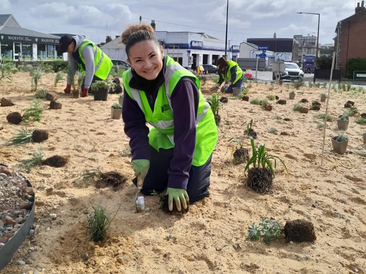 Planting on the Albert roundabout