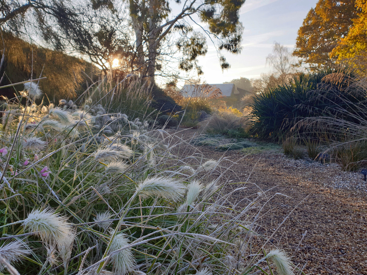 Sensational Seedheads