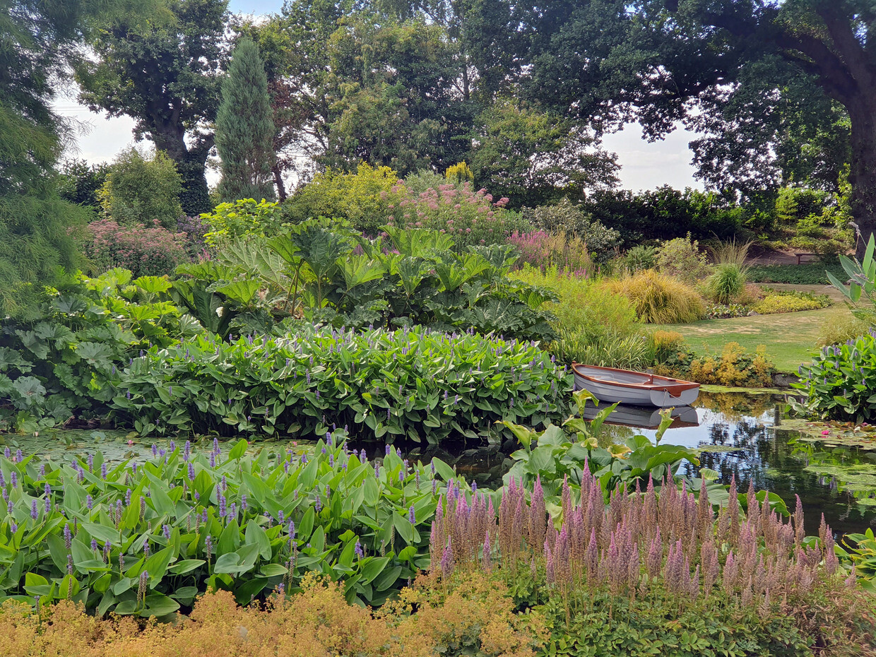 Renovation Work in the Water Garden